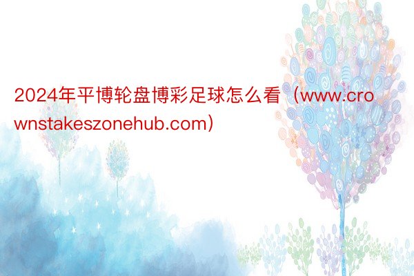 2024年平博轮盘博彩足球怎么看（www.crownstakeszonehub.com）