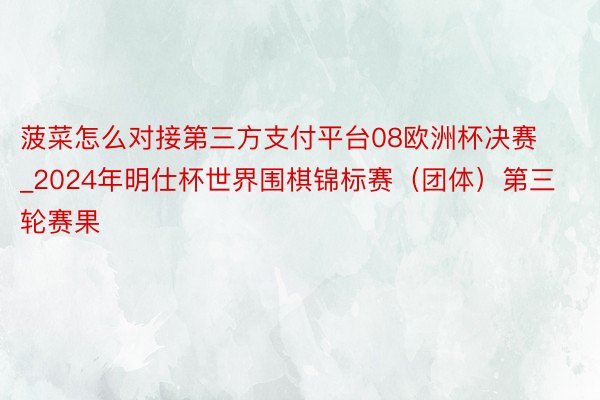 菠菜怎么对接第三方支付平台08欧洲杯决赛_2024年明仕杯世界围棋锦标赛（团体）第三轮赛果