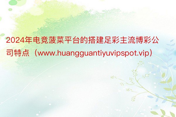 2024年电竞菠菜平台的搭建足彩主流博彩公司特点（www.huangguantiyuvipspot.vip）