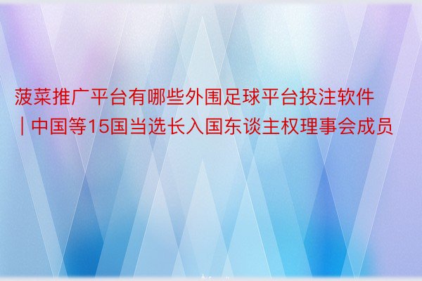 菠菜推广平台有哪些外围足球平台投注软件 | 中国等15国当选长入国东谈主权理事会成员